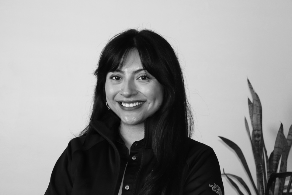 Diana Santos, Executive Fellow