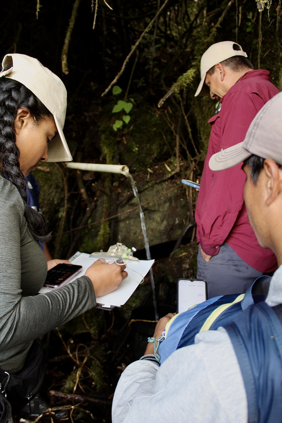workers in the forest in Panama