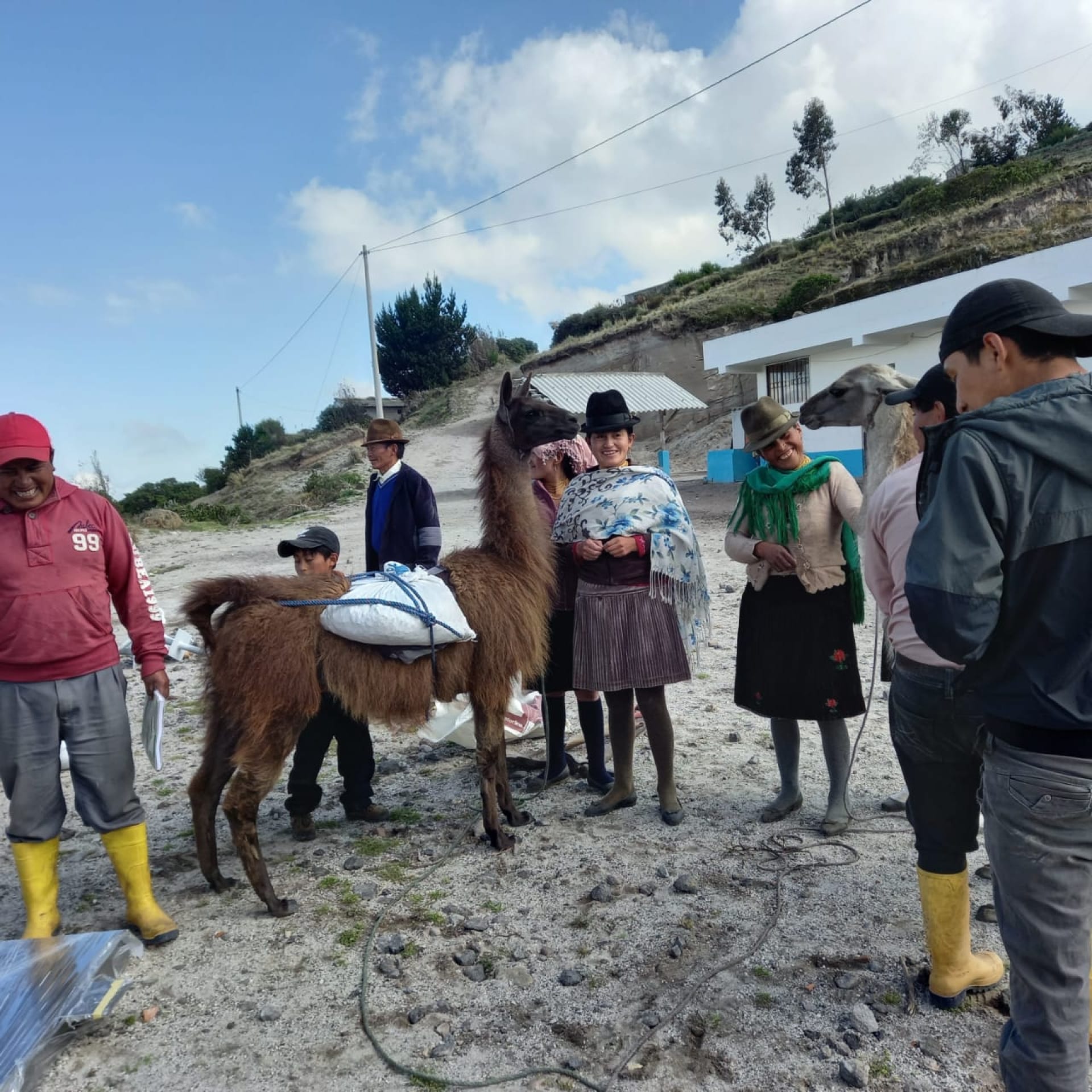 a group of people standing next to a llama